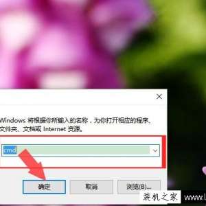 如何查询网站ip地址 怎样查看网站的ip地址方法